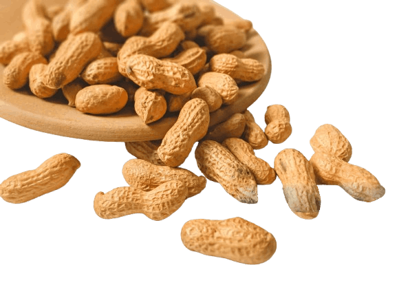 peanuts farmkartfoods